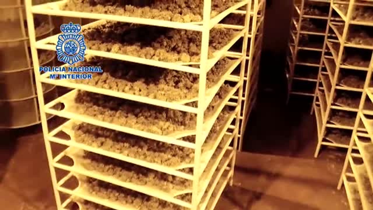 Tres detenidos en una operación antidroga en Antequera, Málaga