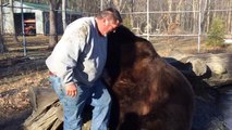 L'amitié incroyable entre cet homme et son ours énorme