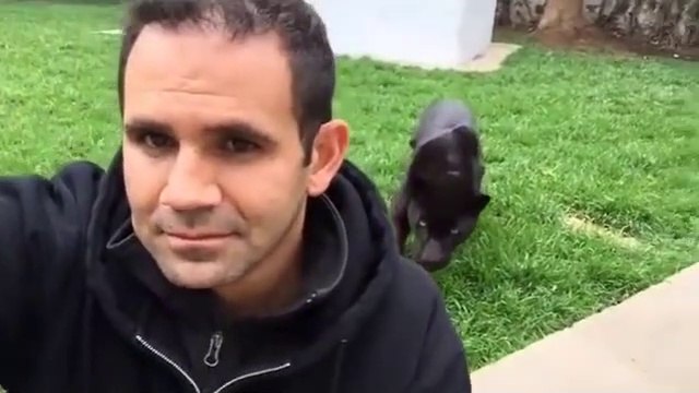 Il joue à 1,2,3 soleil avec son jaguar