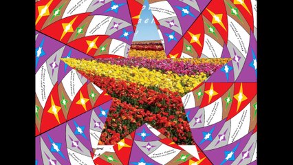 Poderia ter todas as rosas do mundo, nenhuma teria a fragrância do seu amor! [Frases e Poemas]