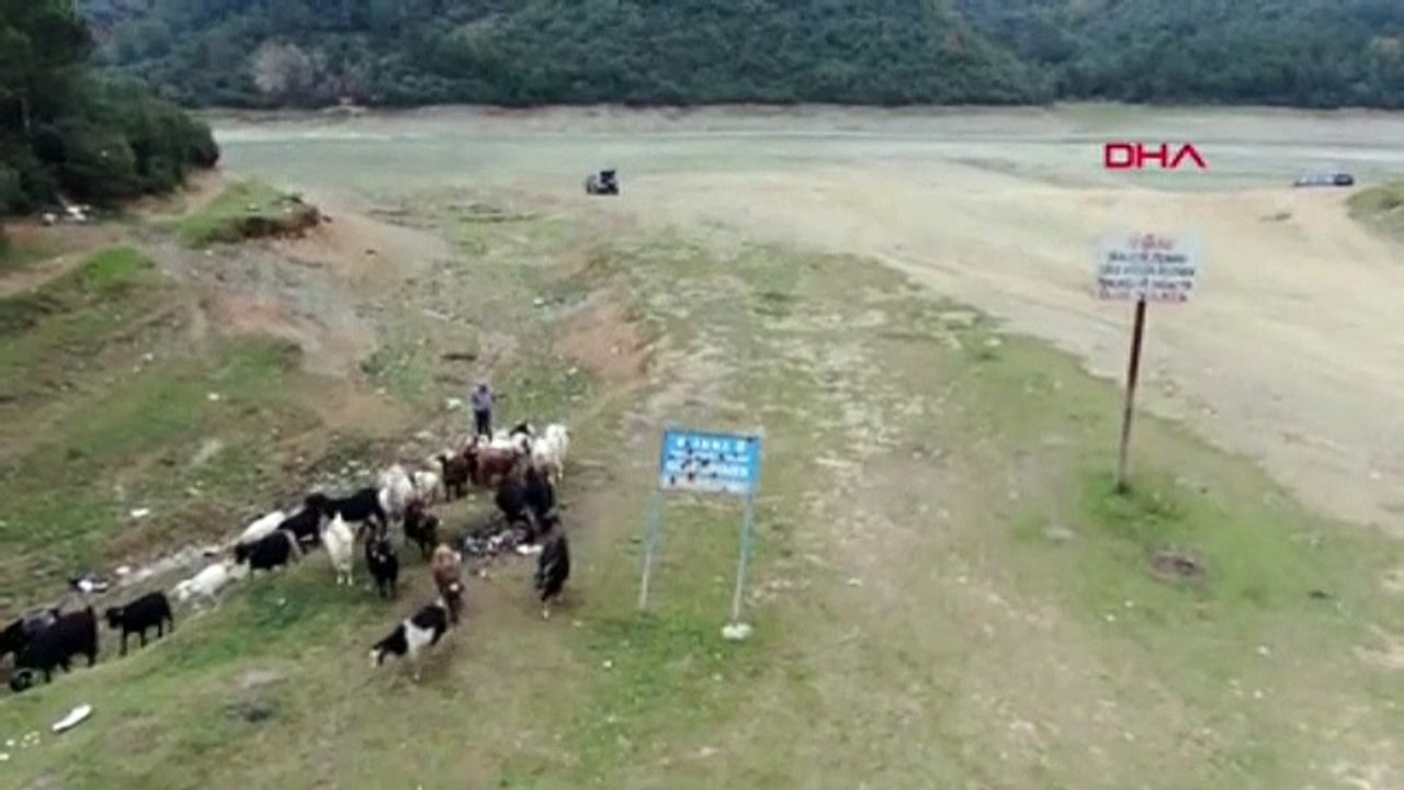 Kabus geri döndü ! İstanbul'un barajları 3 yıl sonra yine alarm veriyor
