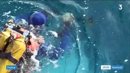 Intempéries dans le Sud-Est : un pêcheur toujours porté disparu dans les Bouches-du-Rhône