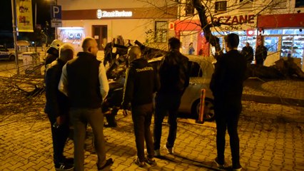 Gece yarısı korku dolu anlar... Dev ağaç otomobilin üzerine devrildi