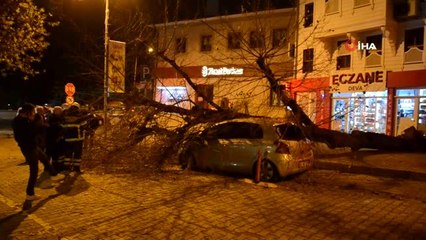 Gece yarısı korku dolu anlar... Dev ağaç otomobilin üzerine devrildi