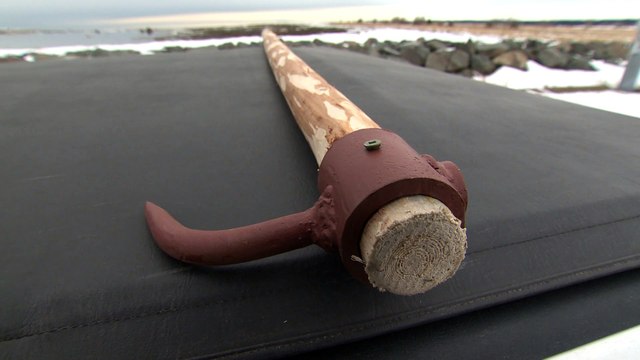 La chasse aux phoques, une pratique légale qui demeure tabou