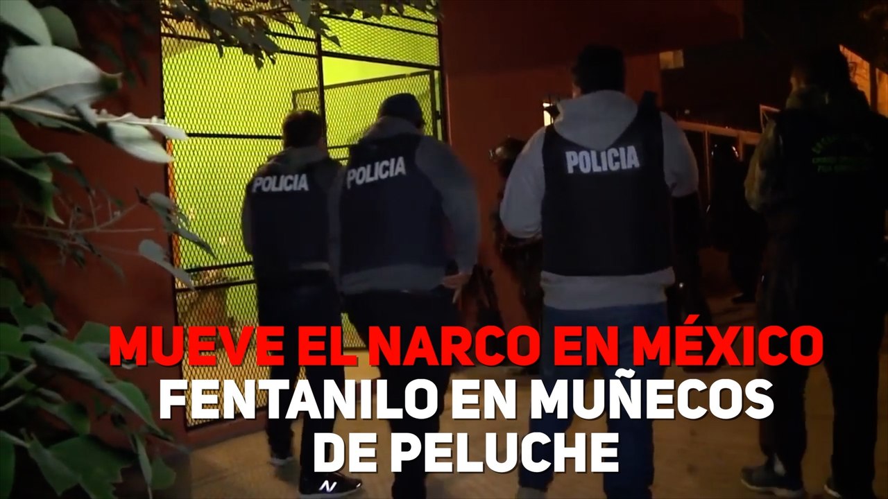 MUEVE EL NARCO EN MÉXICO FENTANILO EN MUÑECOS  DE PELUCHE