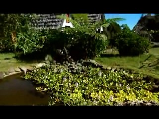 EL SECRETO DE COLON DOCUMENTALES