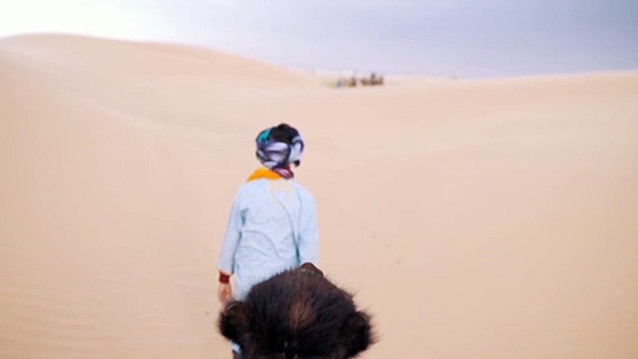 Taryn Elliott - Camel Walking in the Desert - Human/Nature/Animal (No Copyright Video 44)