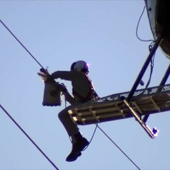 Seagull rescued from power lines  amazing animal life