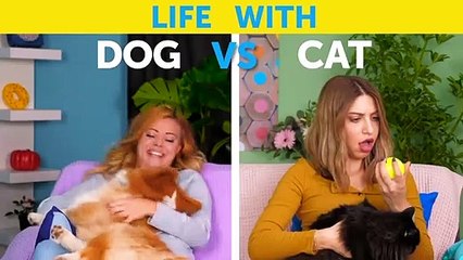 LIFE WITH DOG VS LIFE WITH CAT. Corgi life -- Relatable facts by Life For Tips