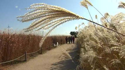 [날씨] 내륙 맑고 쌀쌀...강원 산간 또 30cm 폭설 / YTN