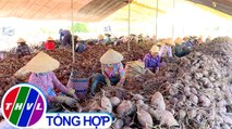 Nông thôn ngày nay: Xã Nguyễn Văn Thảnh cán đích nông thôn mới