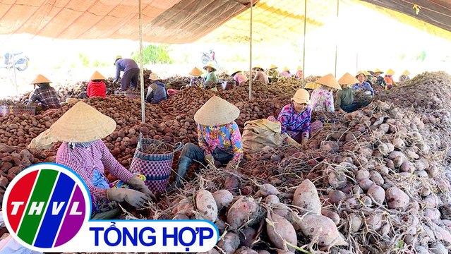 Nông thôn ngày nay: Xã Nguyễn Văn Thảnh cán đích nông thôn mới