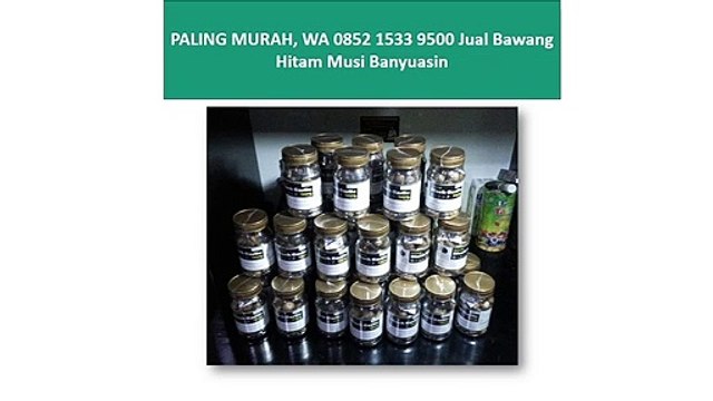 PALING MURAH, WA 0852 1533 9500 Jual Bawang Hitam Musi Banyuasin