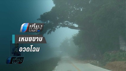 ดอยอินทนนท์ เหลือ 3 องศา เหมยขาบเกาะตามยอดหญ้า | เที่ยงทันข่าว