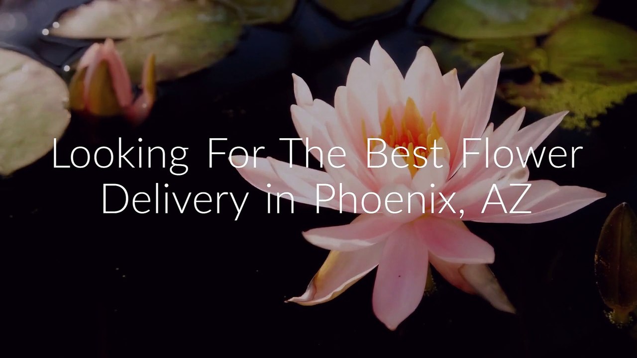 Call 623-377-9585 For Flower Delivery in Phoenix AZ | Fast, Easy & Affordable