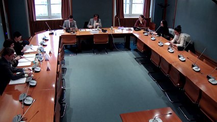 Pratiques prétendant modifier l'orientation sexuelle ou l'identité de genre d'une personne : auditions de Mme Françoise Pétreault, M. Michel Blanc et Mme Laurie Potier - Mardi 26 novembre 2019