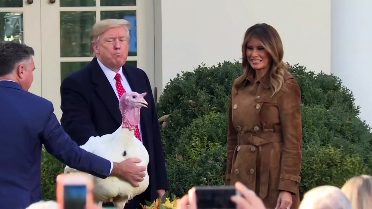 Trump cracks impeachment jokes at turkey pardoning