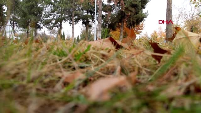 Elazığ kampüste sonbahar güzelliği