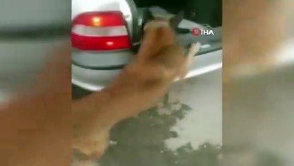 Uyuşturucu operasyonunda 21 kilo eroin yakalandı