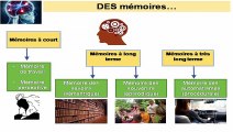 Séminaire Sciences Cognitives en Haute-Savoie (06)