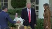 Trump cumple con la tradición de indultar a un pavo por Acción de Gracias