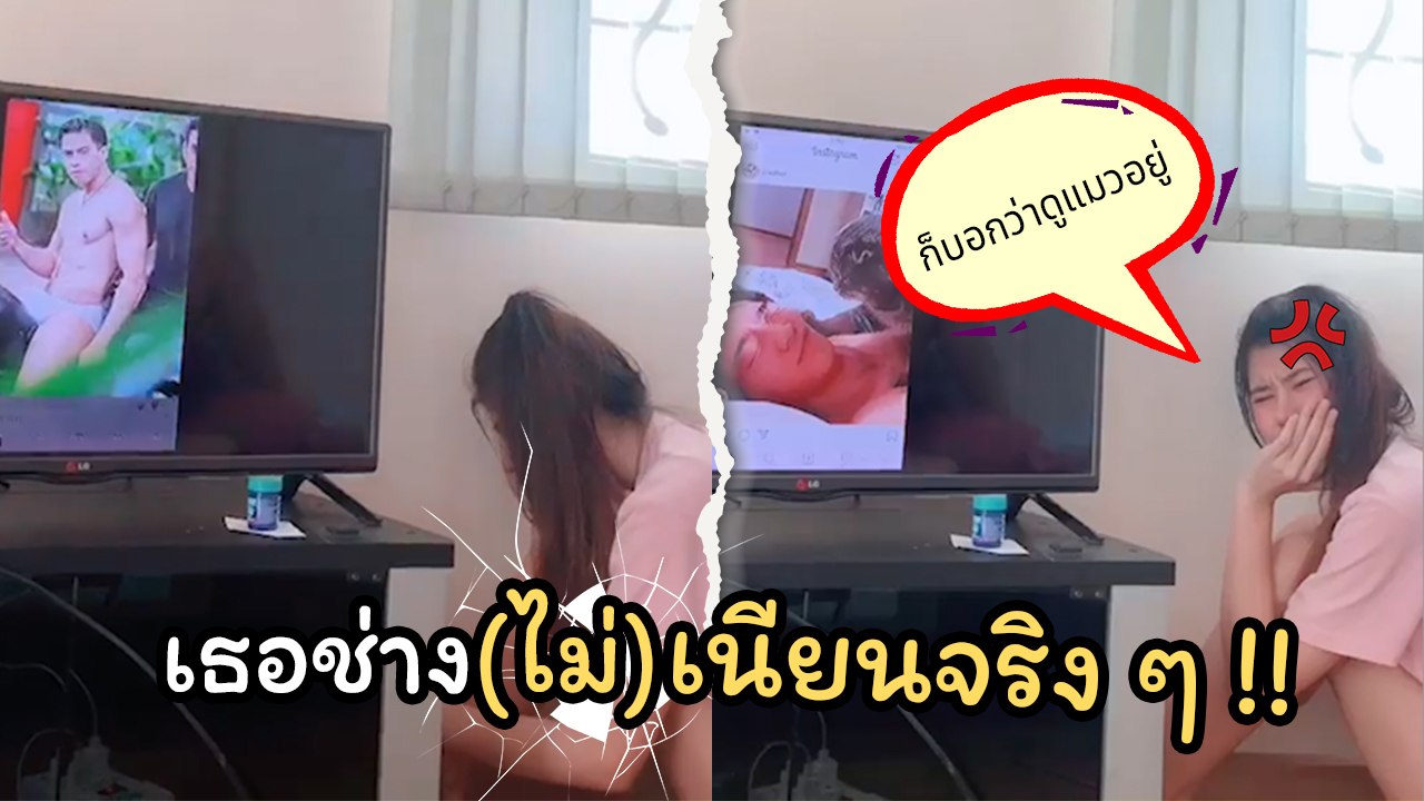 เกมเฉยเลย.. !! สาวหลอกแฟนดูหมา-แมว ในเฟซ หารู้ไม่ต่อโทรศัพท์กับทีวี
