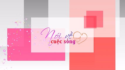 Nói về cuộc sống – 27/11/2019