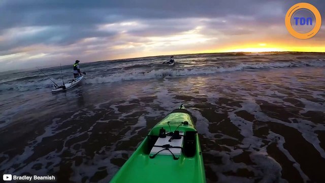 Un énorme requin blanc attaque un kayakiste !