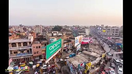 Who Am I - Short Film Traffic Signs- Dog Is Talking