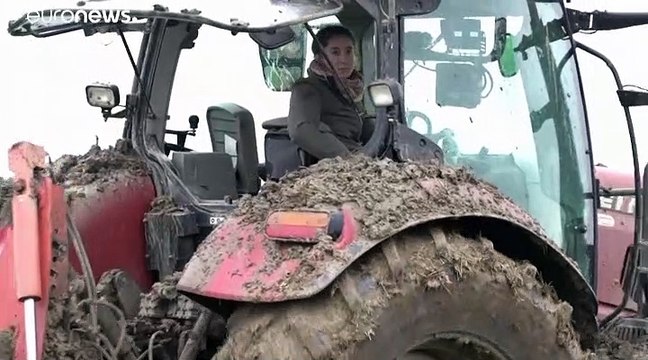 Франция: новый крестьянский бунт