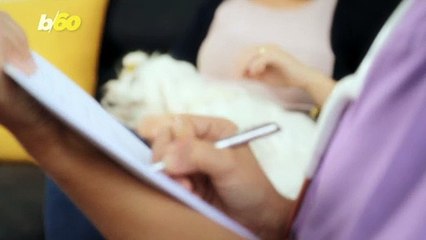 Best Ways To Care For Your Dog In Cold Weather