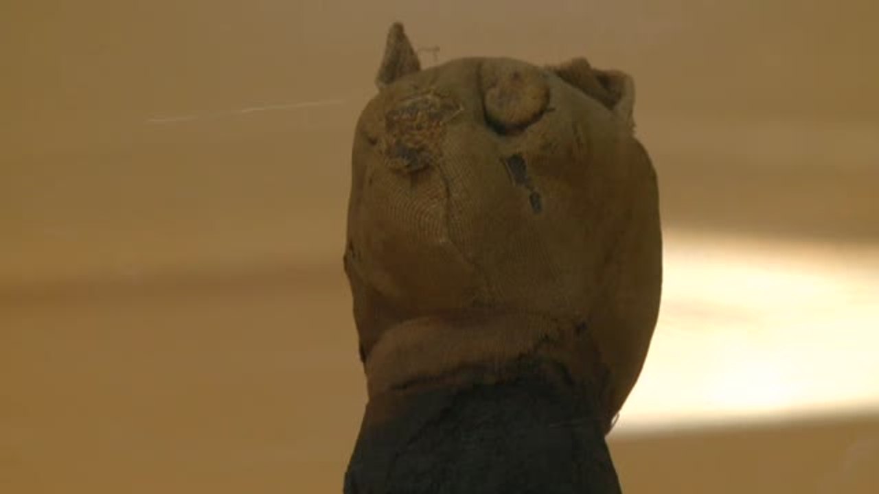 La Orden de Ayala inaugura la exposición "Tarot y Barajas de Egipto en el Museo de lo Inaudito"