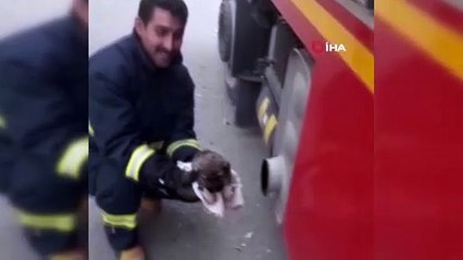 Derede kurtarılan yavru köpekler araç egzozuyla ısıtıldı