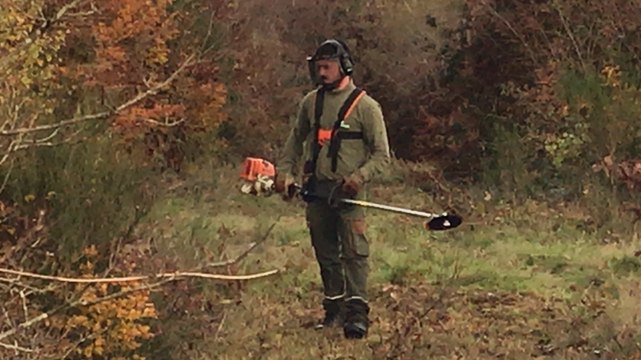 Forêts domaniales: la fin des produits Phyto pharmaceutiques