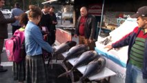 Ton balıkları vatandaşların ilgi odağı oldu