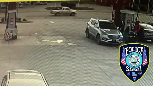 Une Chihuahua a miraculeusement pu conduire une SUV sans faire un accident sur une route très fréquentée