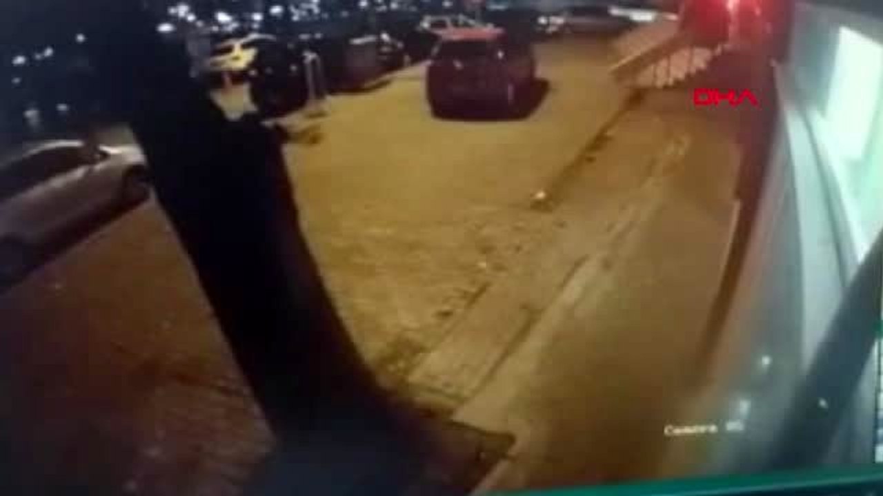 Tekirdağ'da dev ağaç otomobilin üzerine devrildi
