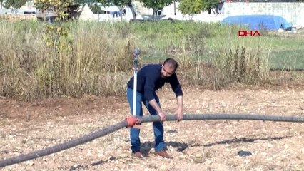 Şanlıurfa mevsimlik işçiydi, ingiltere'de patron oldu