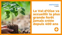 Le Val-d'Oise va accueillir la plus grande forêt jamais créée depuis 400 ans