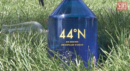 Coup de cœur pour un gin provençal, véritable explosion de fleurs !