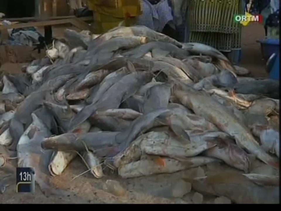ORTM/ 18ème session du comité des pêches continentales et de l’aquaculture pour l’Afrique