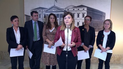 Los grupos leen la declaración de condena de la violencia de género a pesar de la oposición de Vox