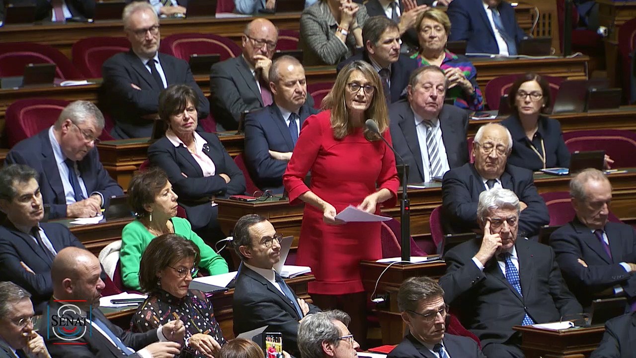 QAG - Sophie PRIMAS "Ma question est simple : comment comptez-vous répondre aujourd'hui à la détresse des agriculteurs dans la rue ?"