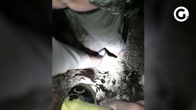 Filhote de cachorro é resgatado pelo corpo de bombeiros