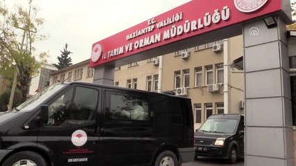 Baklavacılara yönelik gıda denetim yapıldı