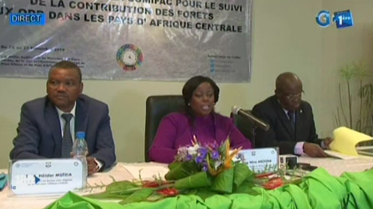 RTG / Atelier sous régional de validation des directives de la COMIFAC  pour le suivi de la contribution des forets aux ODD dans les pays d’Afrique centrale