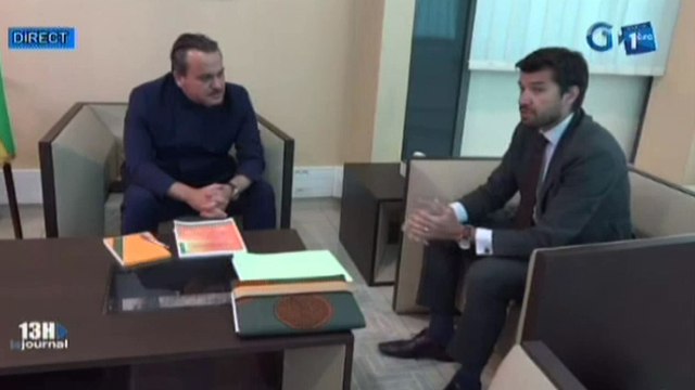 RTG / Audience du ministre charge du suivi de la stratégie des investissements humains et des objectifs de développement durable avec le représentant résident du FMI au Gabon