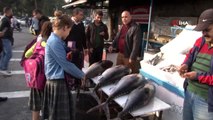 Ton balıkları vatandaşların ilgi odağı oldu