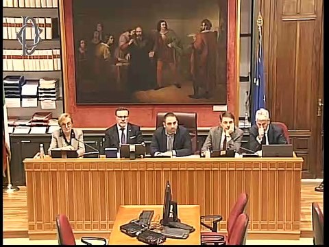 Roma - Revisione ruoli Forze di Polizia, audizione della prefetta Alessandra Guidi (27.11.19)